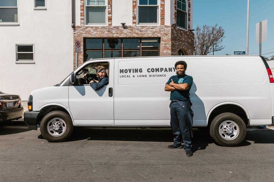 Schimbări semnificative la Muncă în Zadar SRL: nou obiect de activitate și sediu social