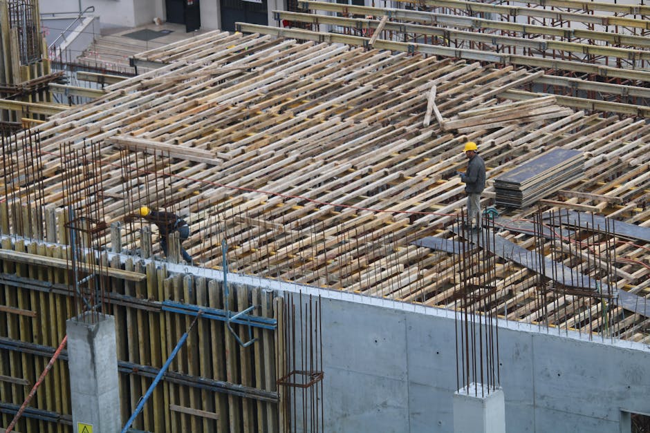 Controalele ITM Ilfov: amenzi record în primele șase luni ale anului 2026