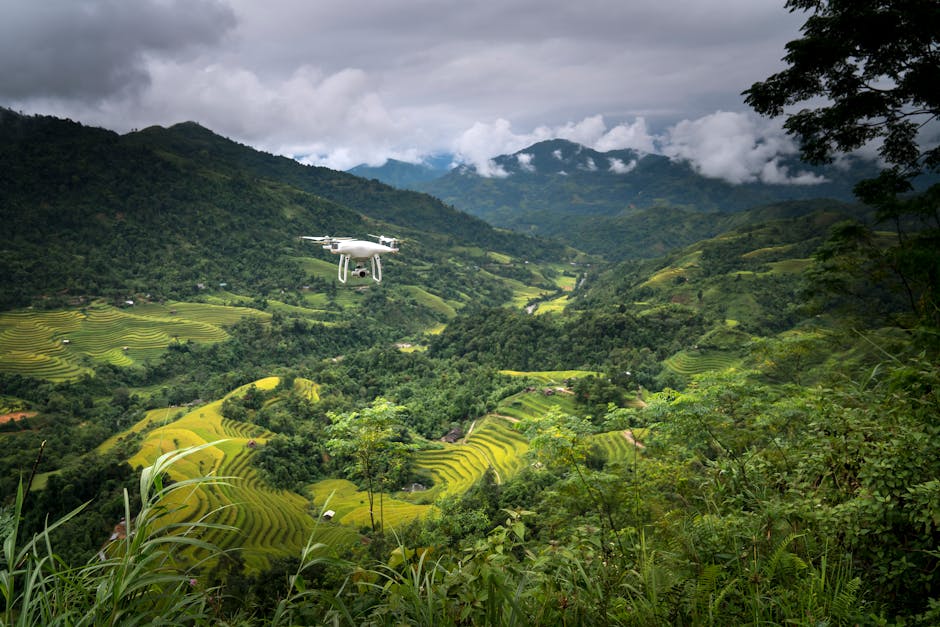 Nouă lege pentru drone agricole: fermierii români beneficiază de soluții moderne