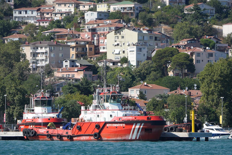 Garda de Coastă anunță licitație pentru asigurarea navelor: detalii esențiale