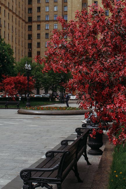 Constanța își îmbogățește peisajul urban cu peste 500 de noi plante ornamentale
