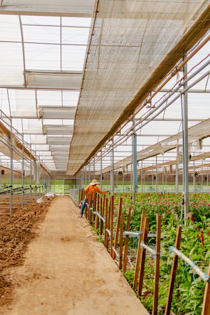 Finanțări nerambursabile pentru cultivatorii de flori: oportunități și provocări