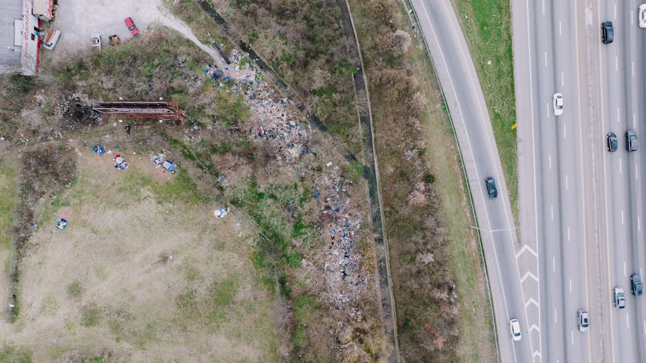 Cluj-Napoca: O soluție verde pentru combaterea zgomotului de pe strada Frunzișului
