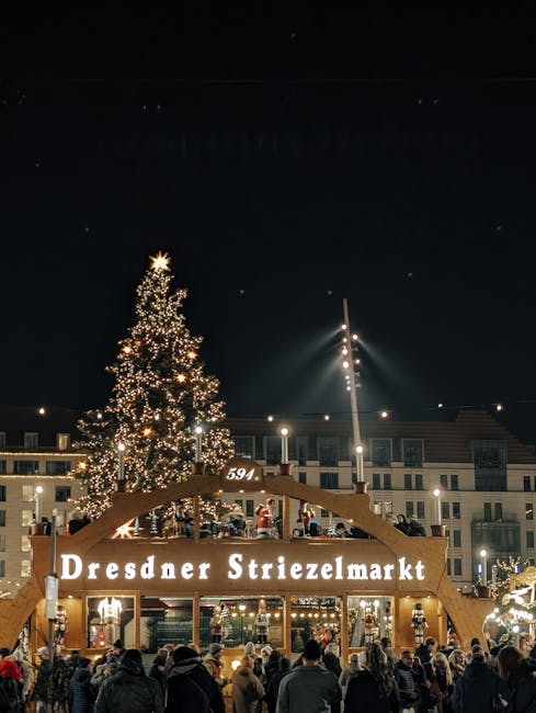 Descoperă activitățile fascinante din Timișoara pe 2 decembrie 2025
