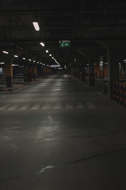 Urs surprins în parcarea unui mall din Brașov: evenimentul care a pus pe jar autoritățile