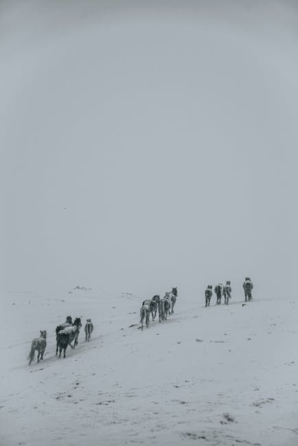 Descoperă povestea impresionantă din "20 de ani în Siberia"