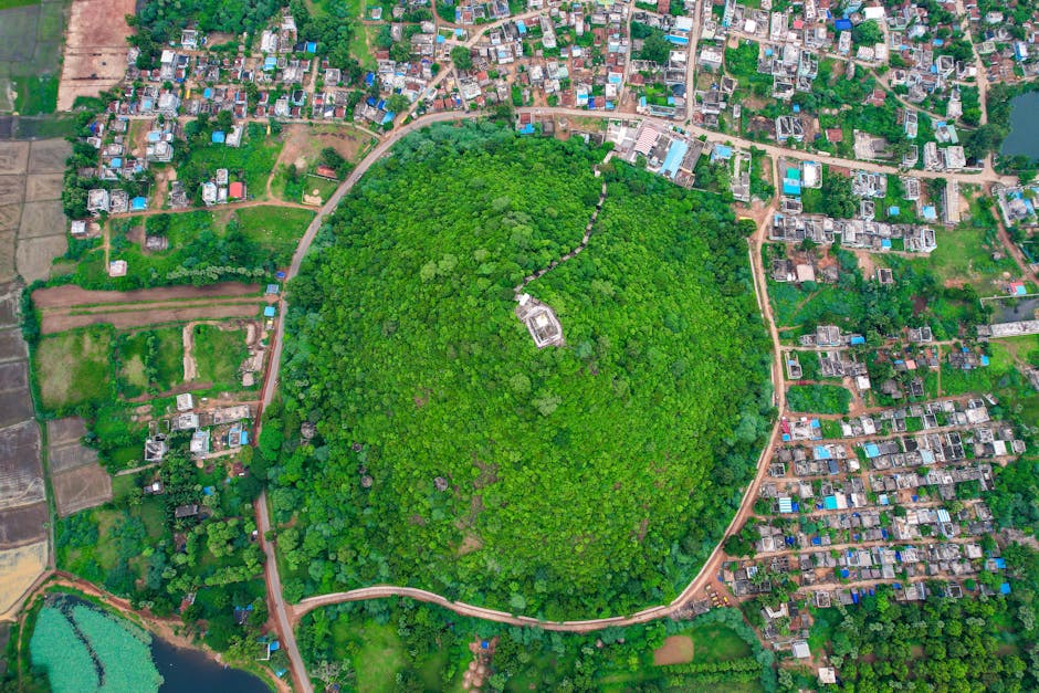Un nou parc în comuna Mârșa: un proiect ecologic ambitios
