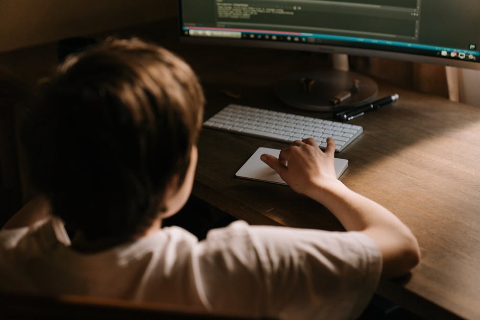 România și Bulgaria, printre ultimele locuri în competențele digitale ale tinerilor din UE