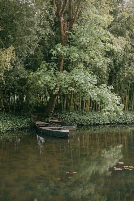 Descoperă povestea fascinantă a lui Claude Monet, maestrul impresionismului