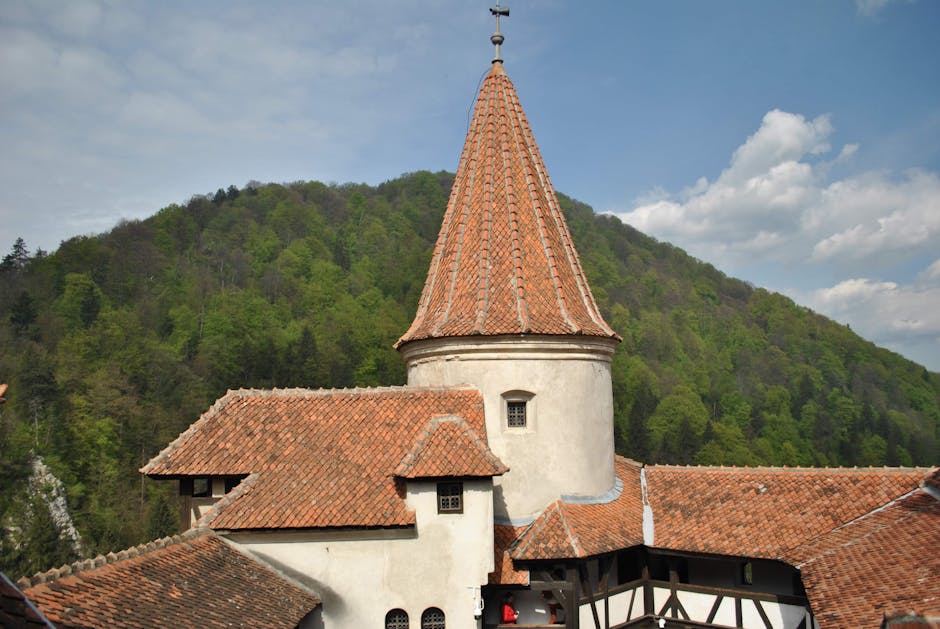 Descoperă cine aduce o rază de lumină asupra României