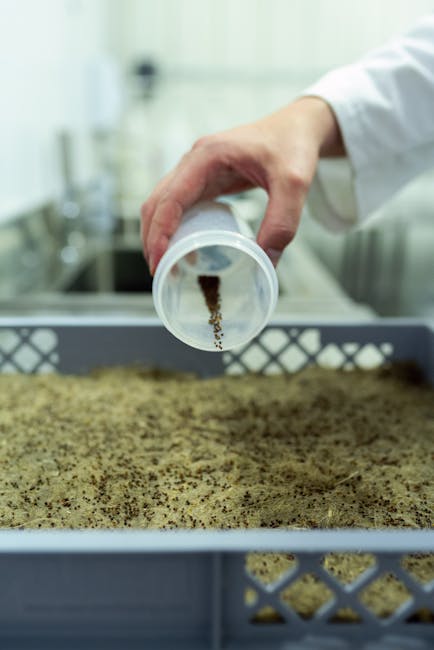 Uniunea Europeană avansează în biotehnologie: ce înseamnă noul acord pentru agricultori