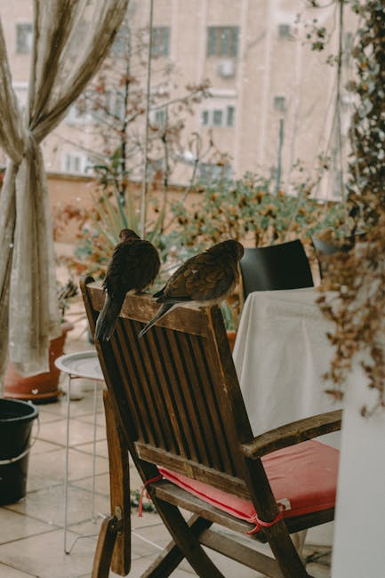 Transformă-ți terasa într-un refugiu confortabil pe tot parcursul anului