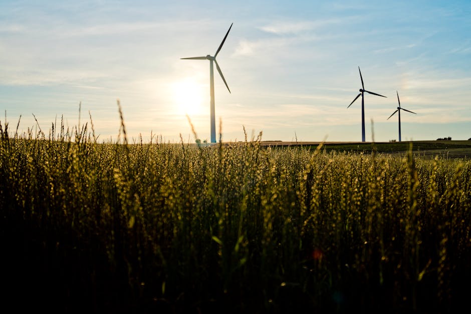 AGROSEB S.R.L. lansează un proiect pentru producerea de energie regenerabilă