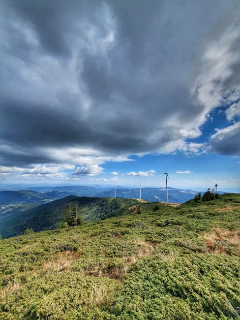 Nuntă extravagantă la Iași: un fost consilier local se căsătorește cu un mogul al energiei