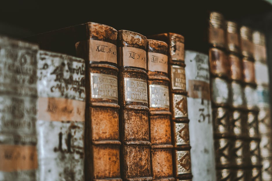 Expoziție captivantă la Universitatea Ovidius: 1989 revine în atenție