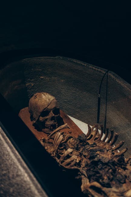 Descoperiri fascinante la Cetatea Zânelor și Dâmbul Cetății