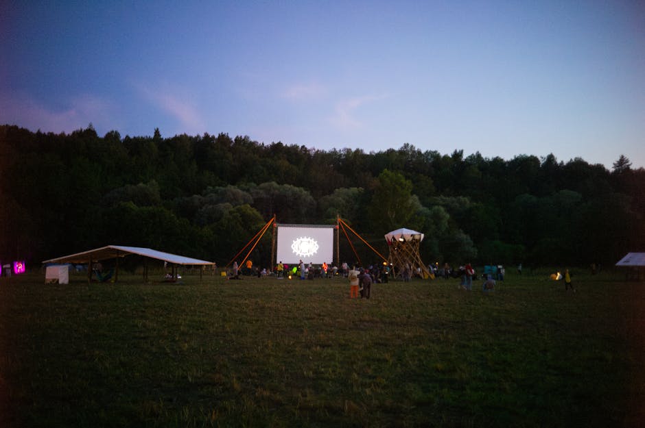 Experiență cinematografică unică: proiecția filmului „Dobrogea” la Cinema Dacia