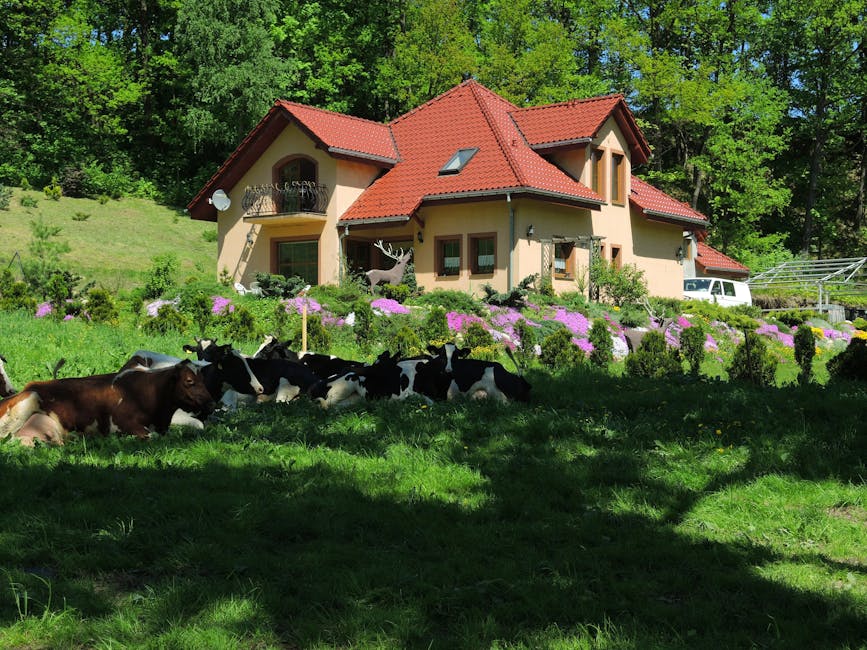 Descoperă peisajul rural din Iași, la doar câțiva pași de agitația orașului