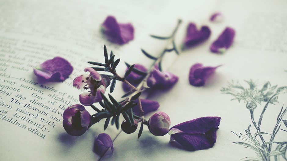 Alexandru Ionică-Getodacul: o călătorie poetică pe marginea versului