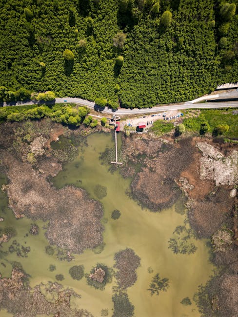 Bucureștiul se îmbogățește cu o arie naturală protejată: Valea Saulei
