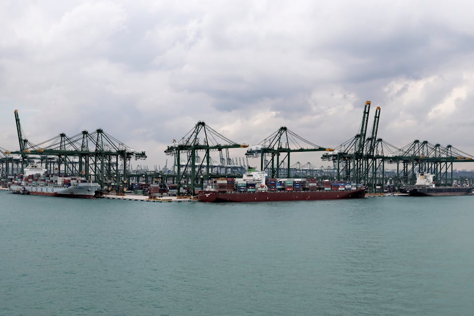 România se îndreaptă spre schimburi comerciale record în 2025, dar decalajul import-export persistă