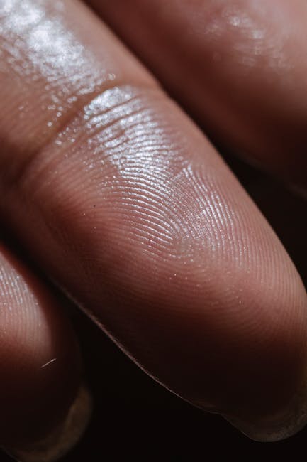 Noul sistem biometric la vama Halmeu: amprente și scanare facială pentru non-UE