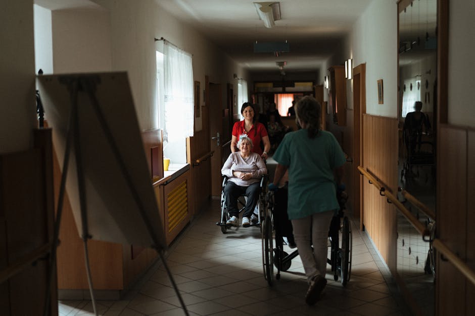 AJPIS Ilfov: Peste 438 milioane lei plătiți pentru asistență socială în prima jumătate a anului 2026
