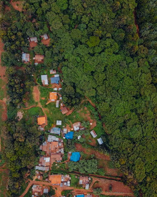 Zimbrii provoacă panică în Argeș: comunitatea cere ajutor urgent
