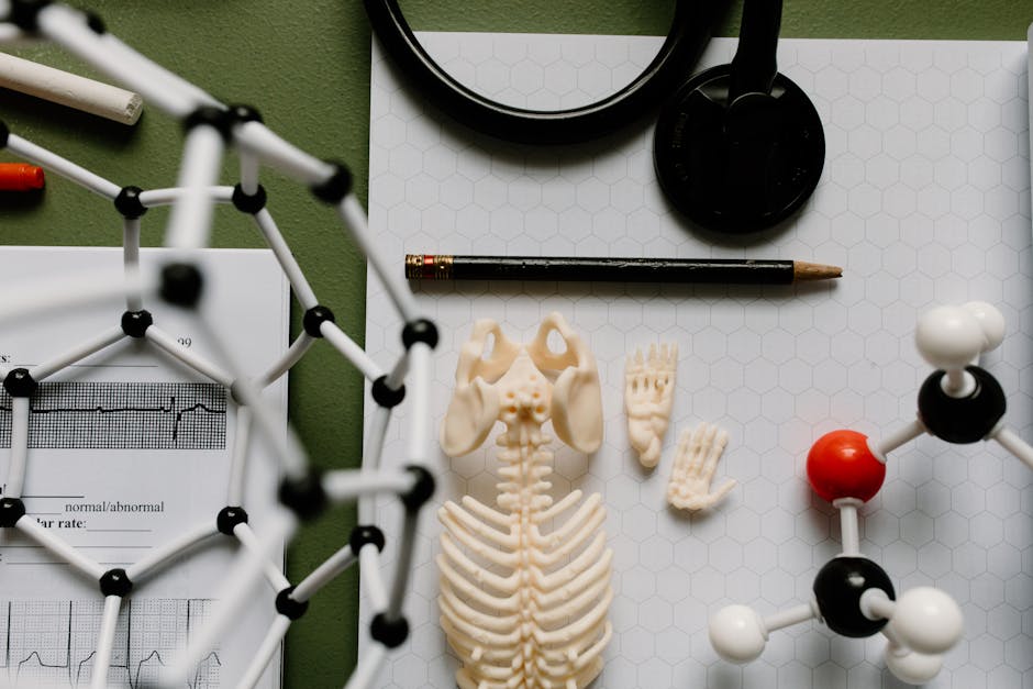 Noi reguli pentru cadrele didactice din medicina: angajare prin concurs în spitale