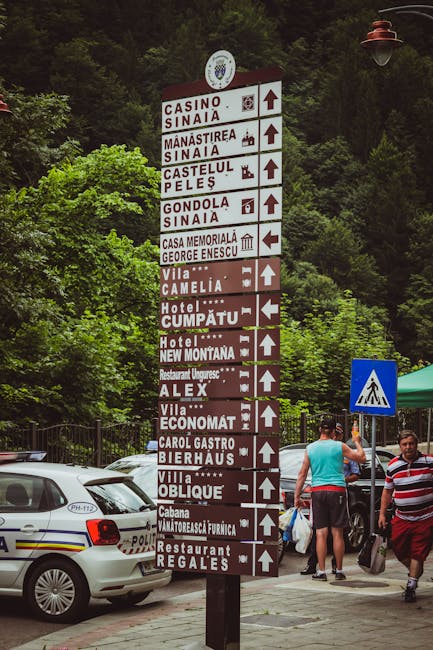 Străzi din Aradul Nou vor purta numele unor mari scriitori români