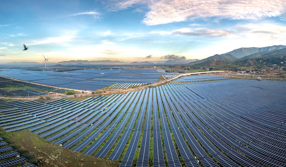 Guvernul revizuiește impozitarea serelor și solariilor din România