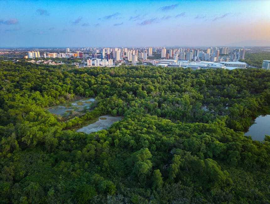 Clujul își propune să conserve biodiversitatea: planuri ambițioase în desfășurare