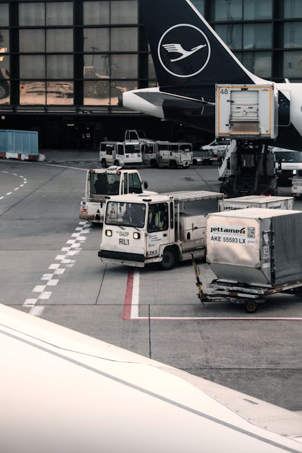 Aeroportul din Frankfurt: descoperirea neașteptată care a dus la arestarea unui pasager