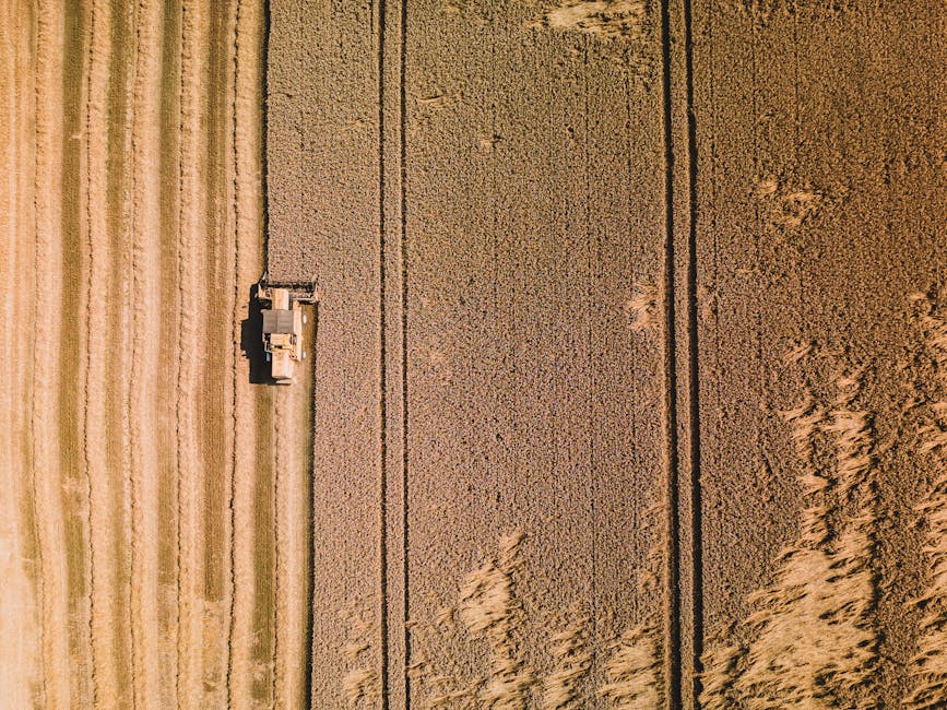 Fermierii români pot obține drone agricole cu fonduri europene