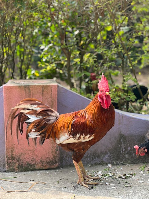 Expoziție impresionantă la Sibiu: peste 1.000 de animale de rasă în prim-plan