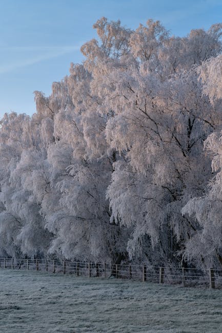 Proiecții meteo pentru 15 decembrie 2025: temperaturi neobișnuit de ridicate