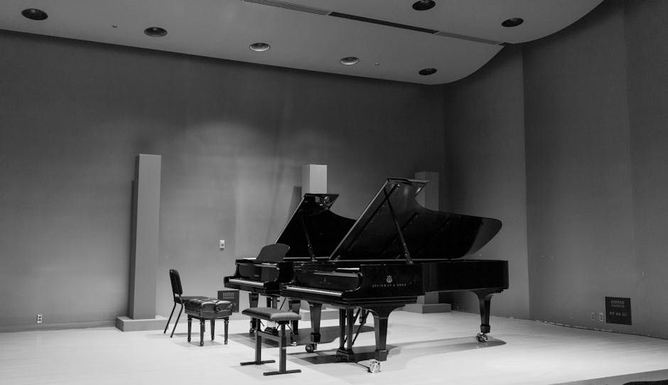 Un concert de excepție cu lucrări celebre ale lui Mozart la Sfântu Gheorghe