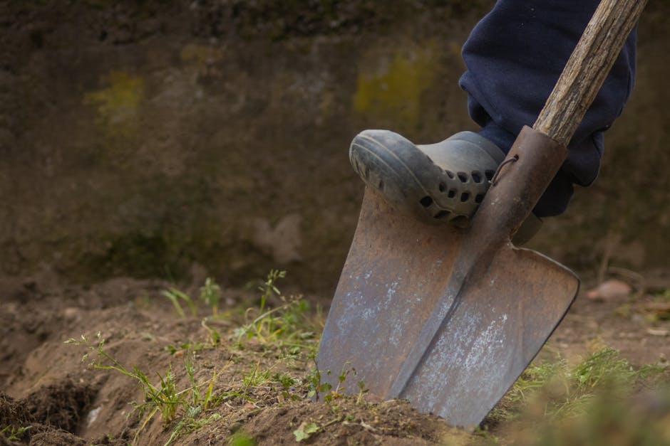 Ce trebuie să știi despre lucrările agricole din decembrie