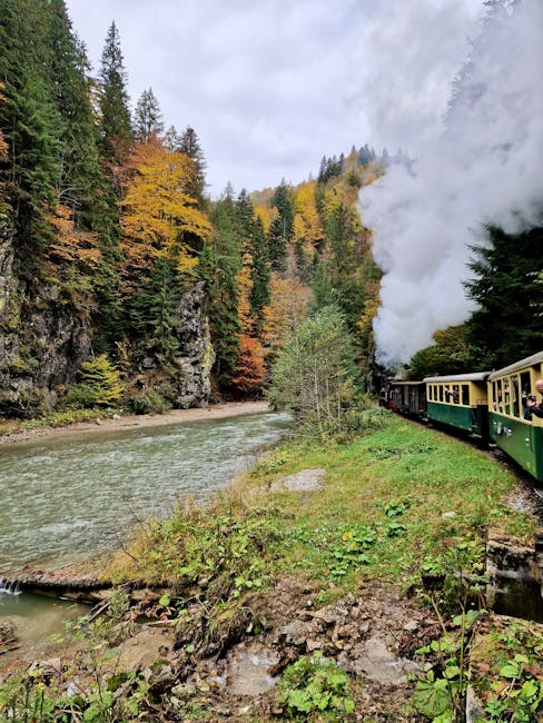 Descoperă Mocănița Sovata: o călătorie magică prin peisajele Mureșului
