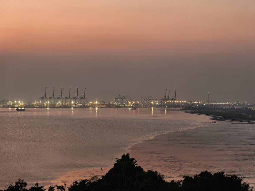Decizii strategice pentru Svad Shipping SRL: schimbări majore în activitate și sediu