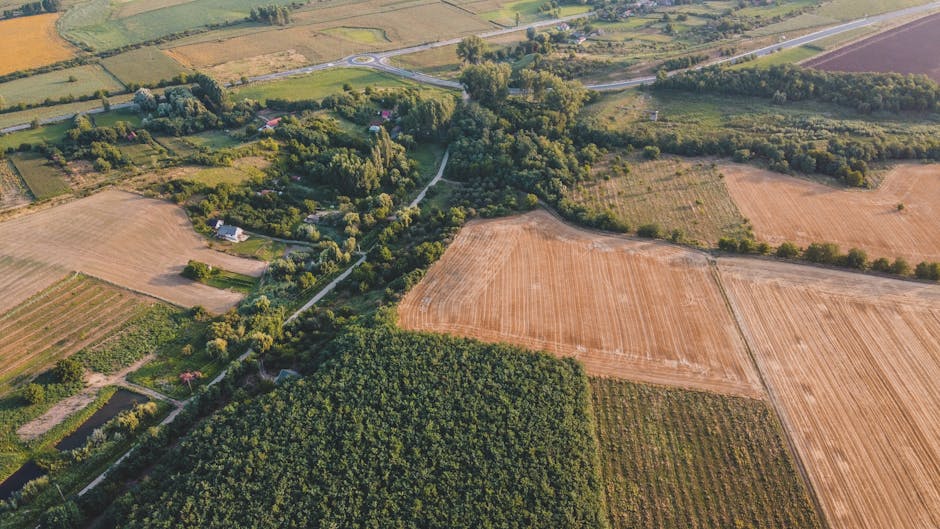 Conflicte la Parcul Industrial Mangalia: vânzarea terenurilor blocată și provocări legale pentru noul administrator