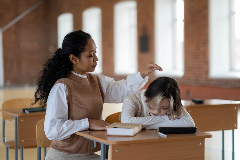 Universitatea Suceava oferă 171 de burse pentru studenți implicați în mentorat și asistență