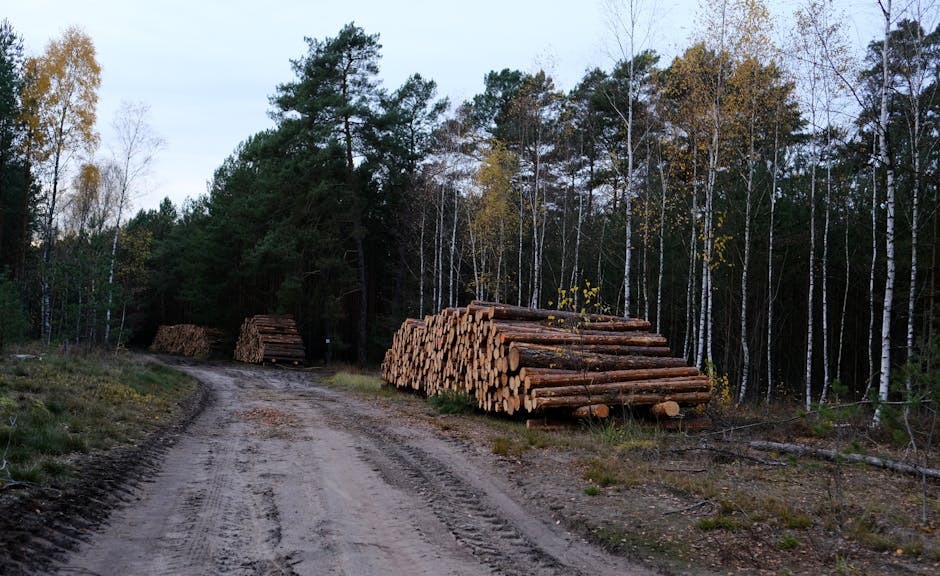 Cătălin Milca preia conducerea Biroului pentru Protecția Fondului Forestier și Piscicol