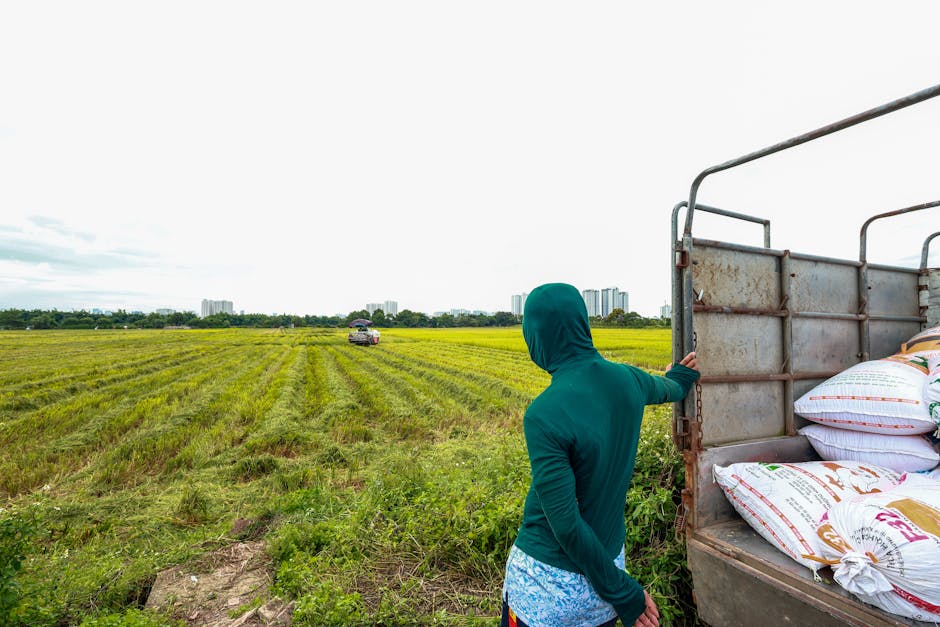 Prețurile medii pentru produsele agricole în 2026: ce trebuie să știe fermierii