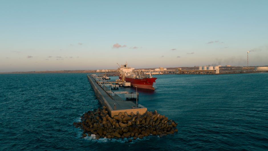 Oportunități de export: România semnează certificate pentru comerțul cu Libia