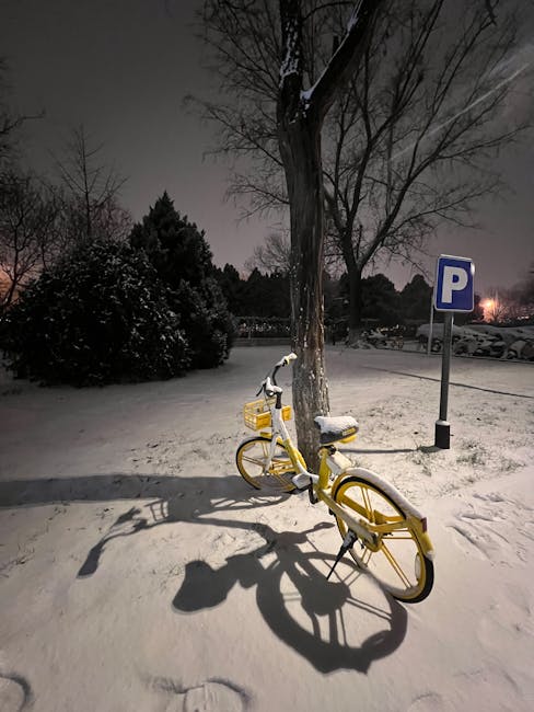 Tânăr din Satu Mare reținut pentru furtul unei biciclete
