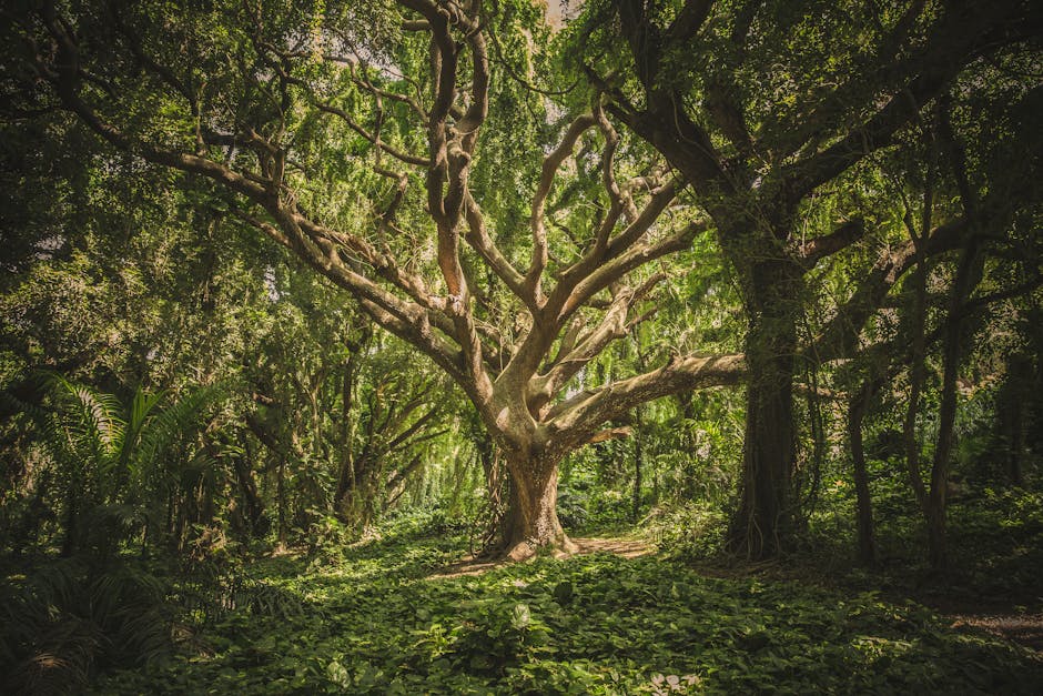 Timișoara onorează eroii Revoluției din 1989 prin plantarea de arbori