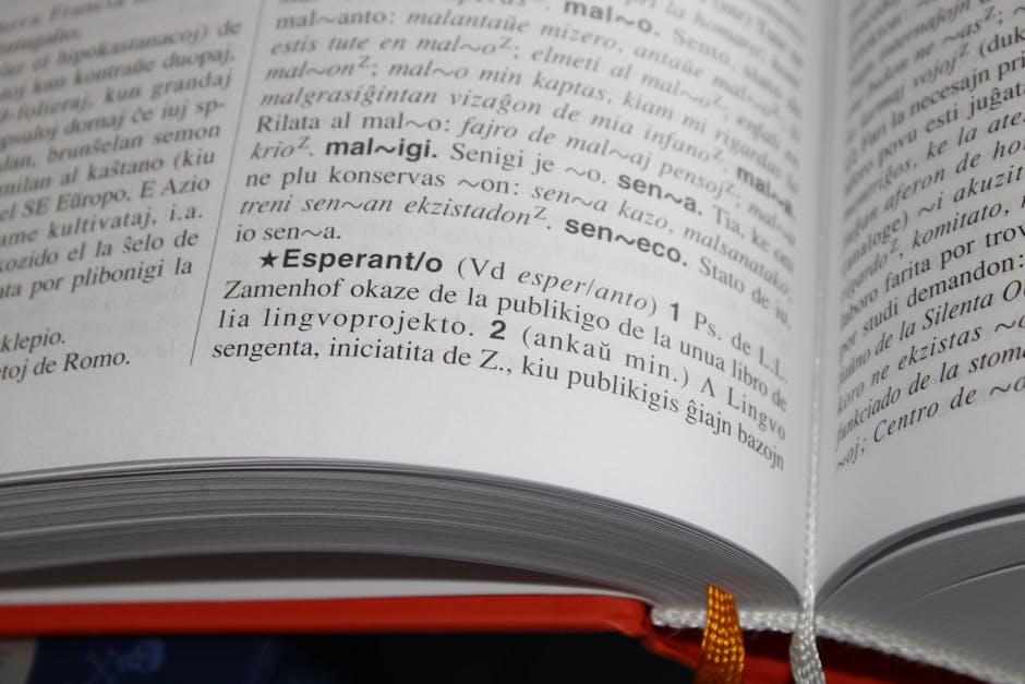 Descoperă noua carte albă dedicată plurilingvismului, lansată cu ocazia Alianței universitare NEOLAiA