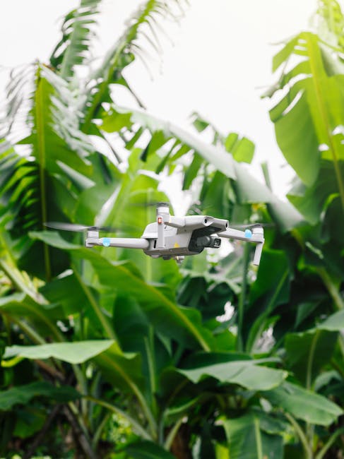 O dronă misterioasă a fost descoperită într-o pădure din Argeș