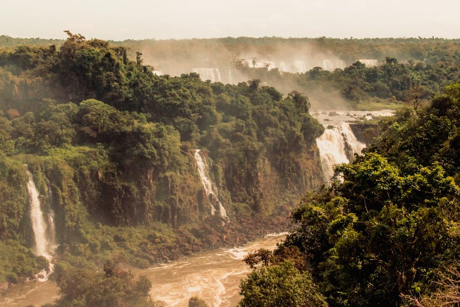 Mercosur își exprimă regretul față de reticențele europene, dar rămâne optimist în privința acordului
